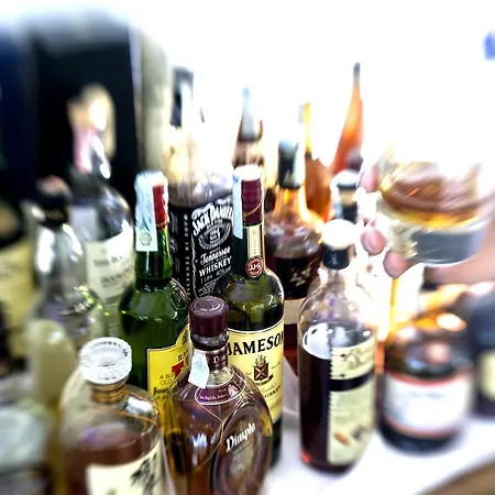 酒店 Florian 塞尔瓦迪加尔代纳山谷